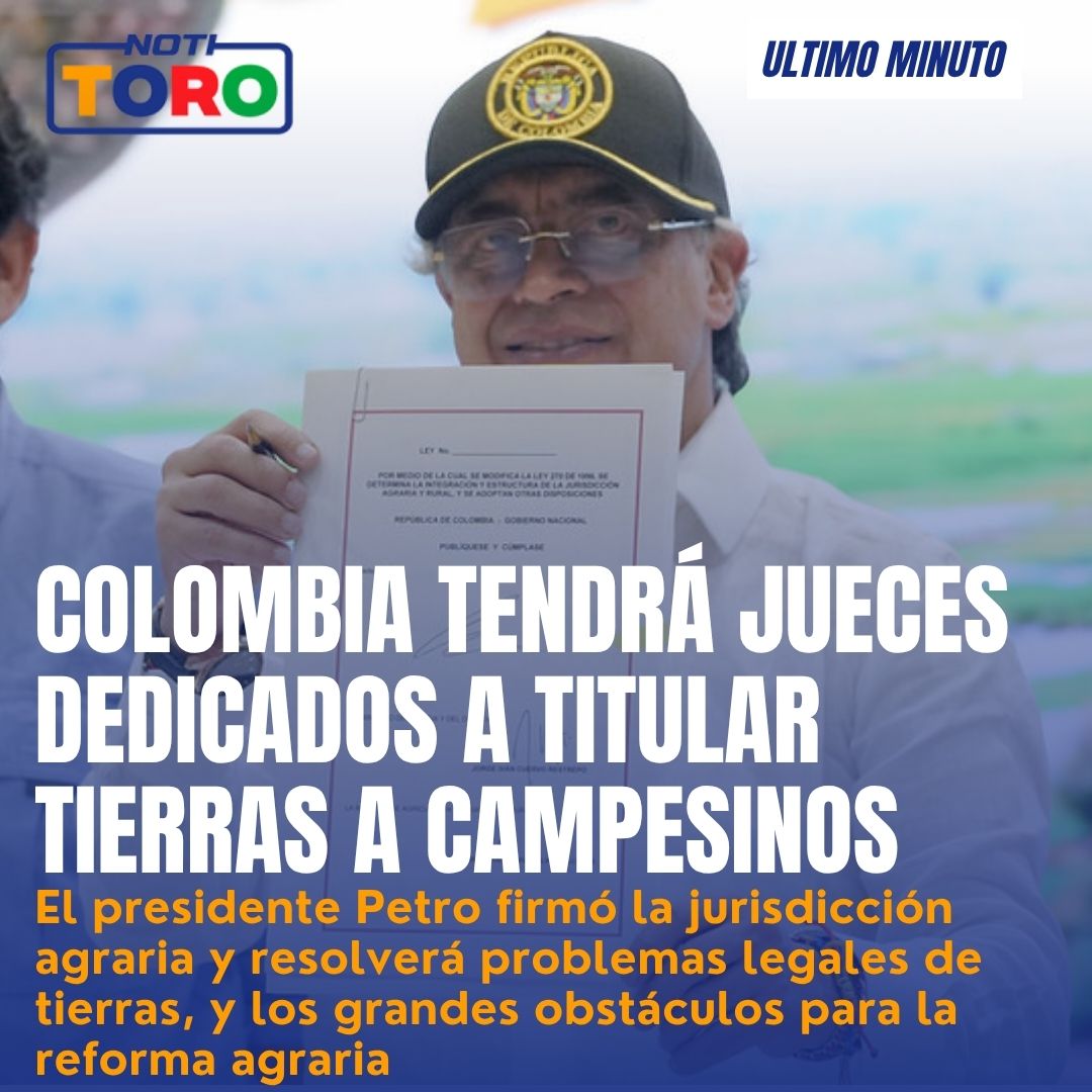 Alejo TORO tweet media