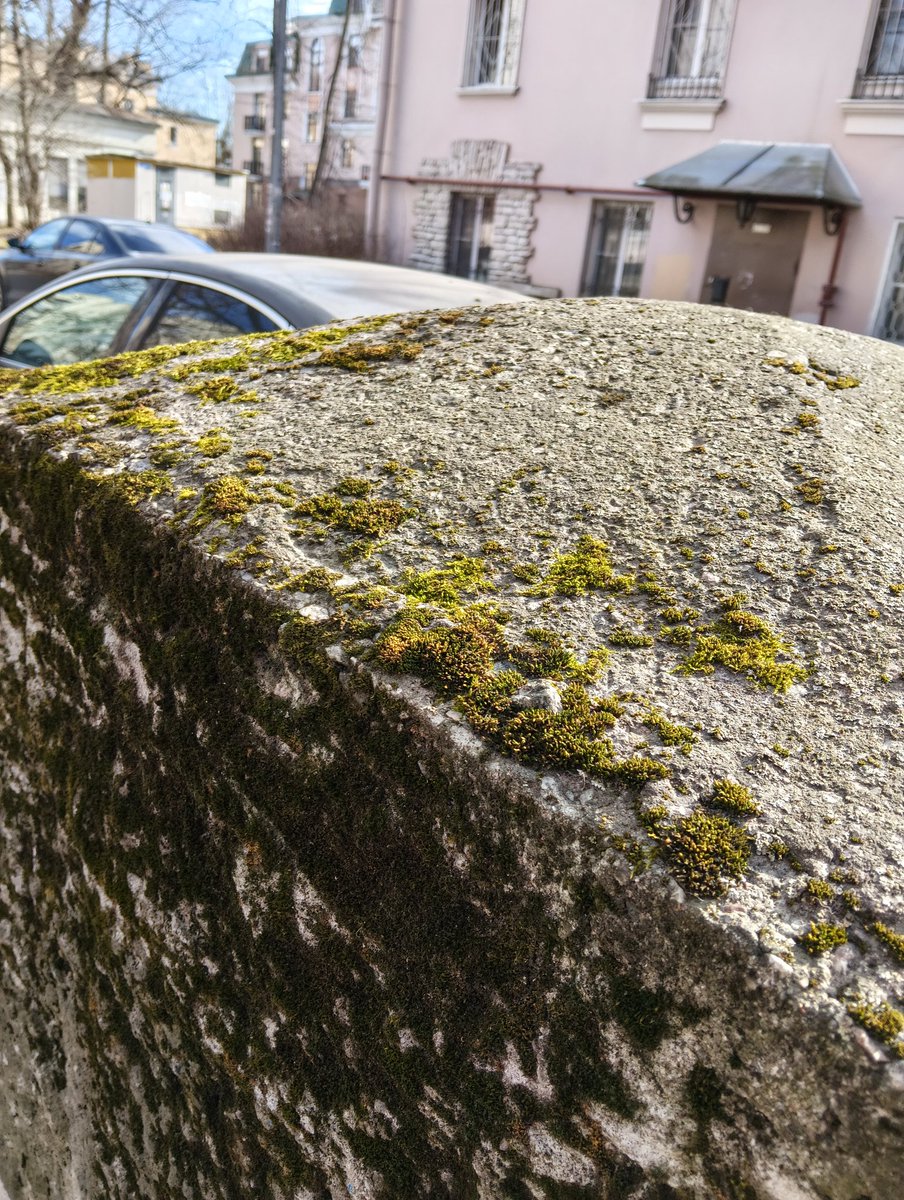 The silence of the Krakow sausage tweet media