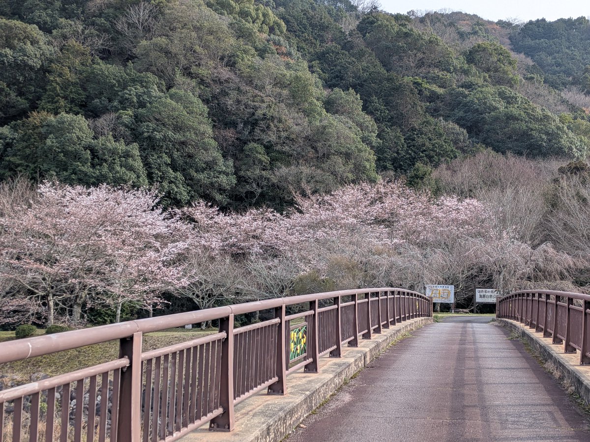 CosMix_Event　コスミク tweet media