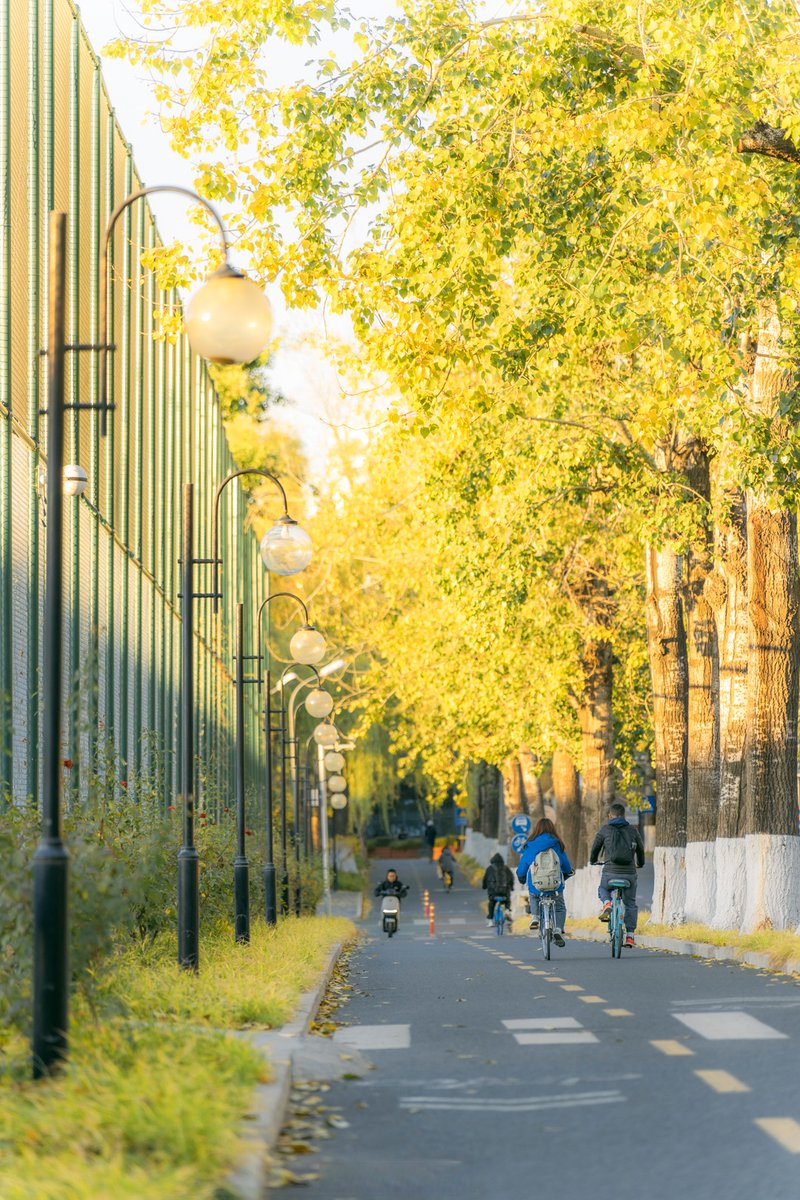 NoFlukePureSkill tweet media