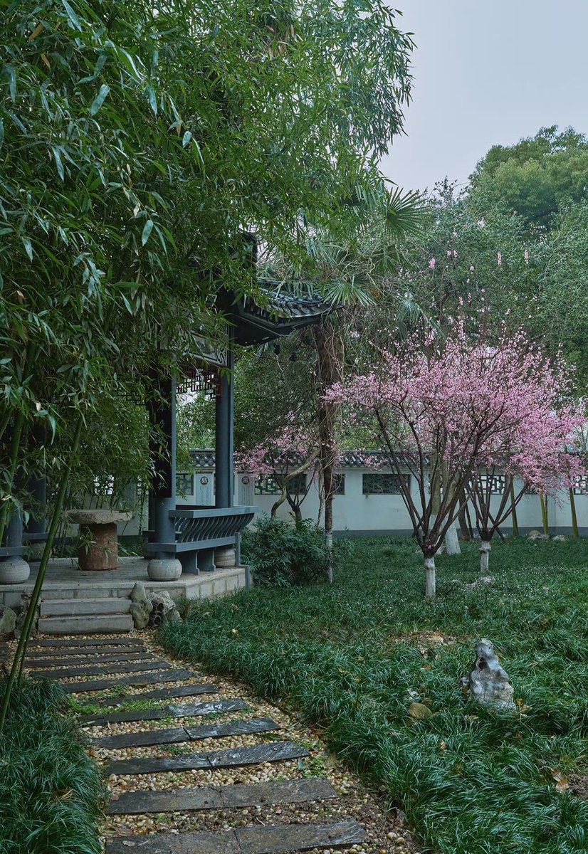 Adrian Portelli tweet media