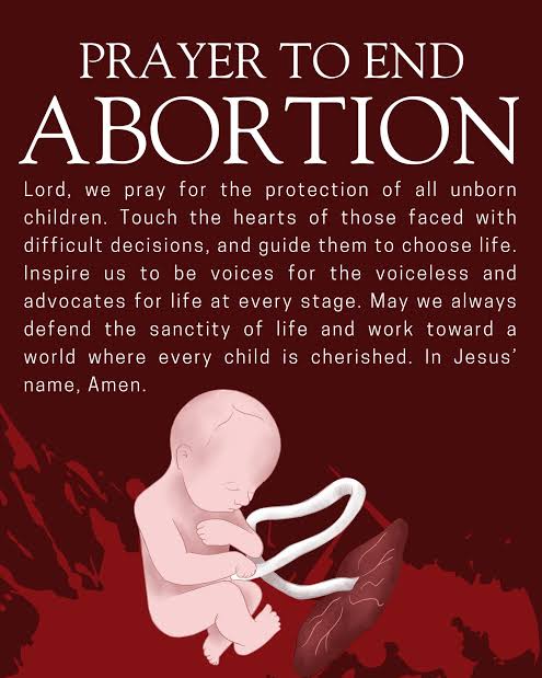 Seminarians/Youths for Life Nigeria tweet media