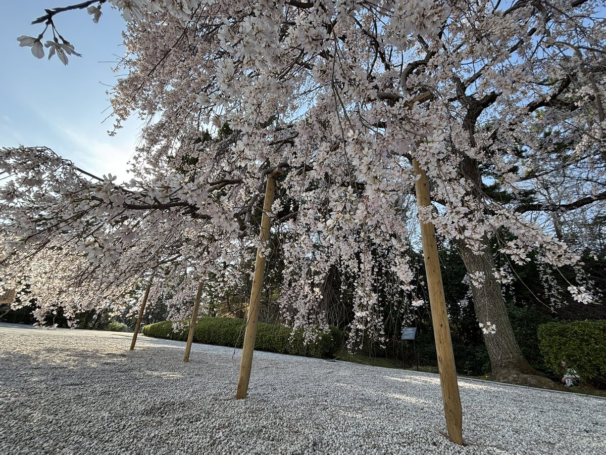 写真日和 tweet media