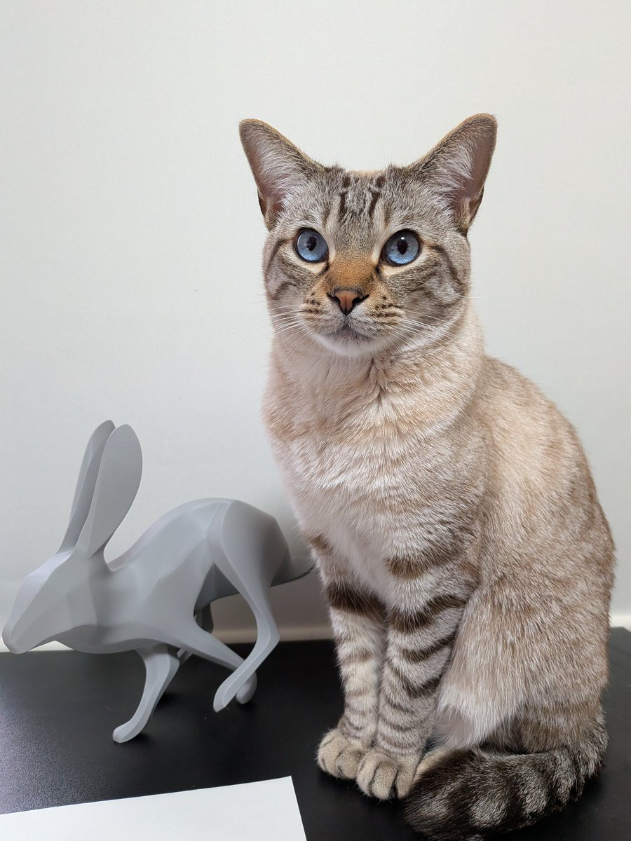 萩原 亮 HAGIWARA Ryo tweet media