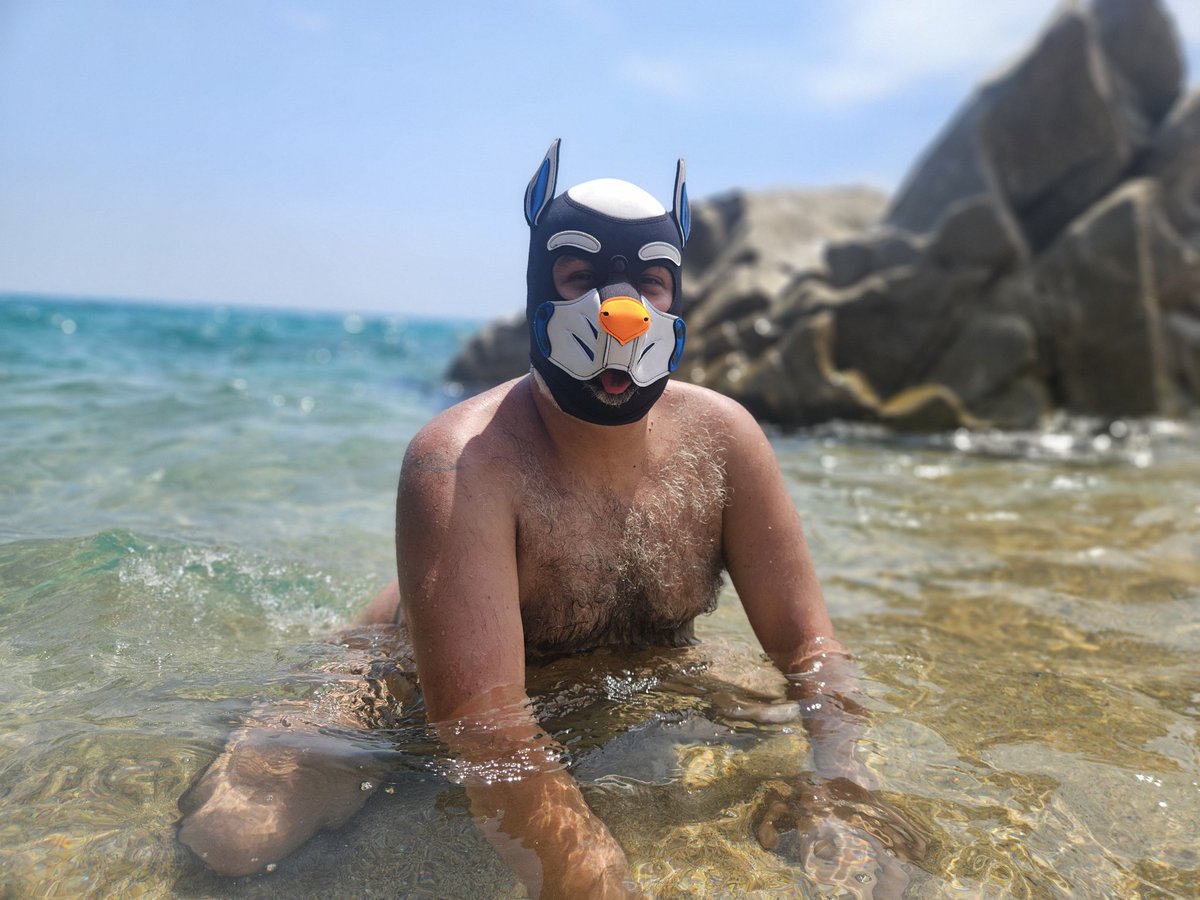 mochinesa's tweet photo. @THICKmacho https://t.co/qe6prWha8B