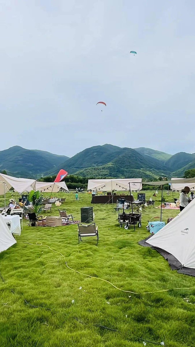 kitzia Solis hermand tweet media