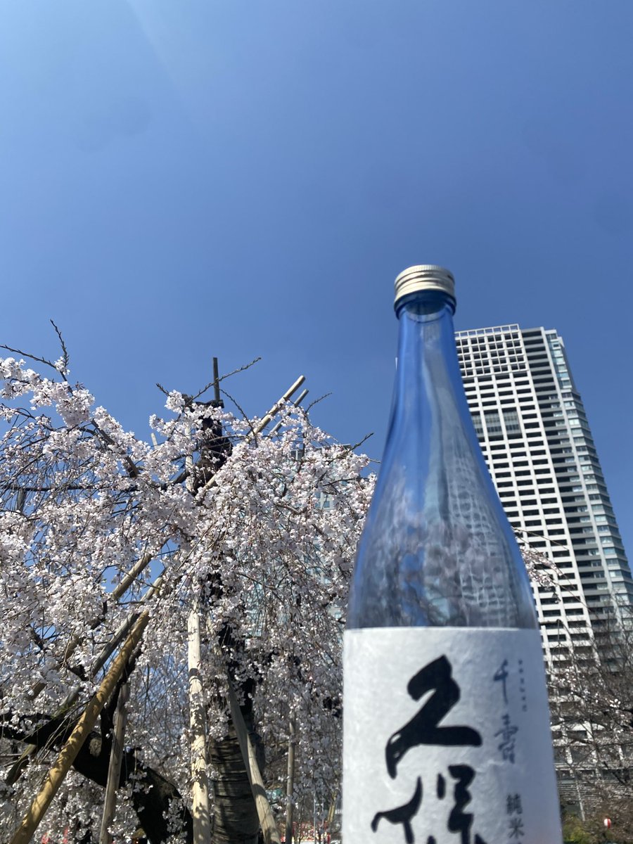 風流せい風流せい