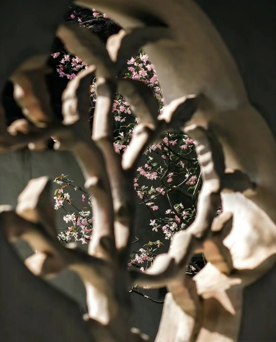 Rafal Koprucki tweet media