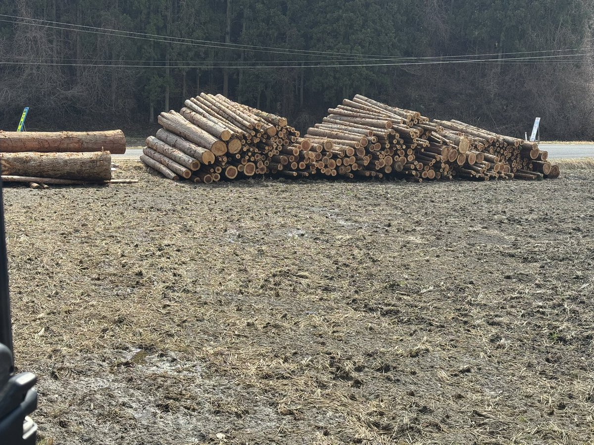 阿久津 修司 tweet media