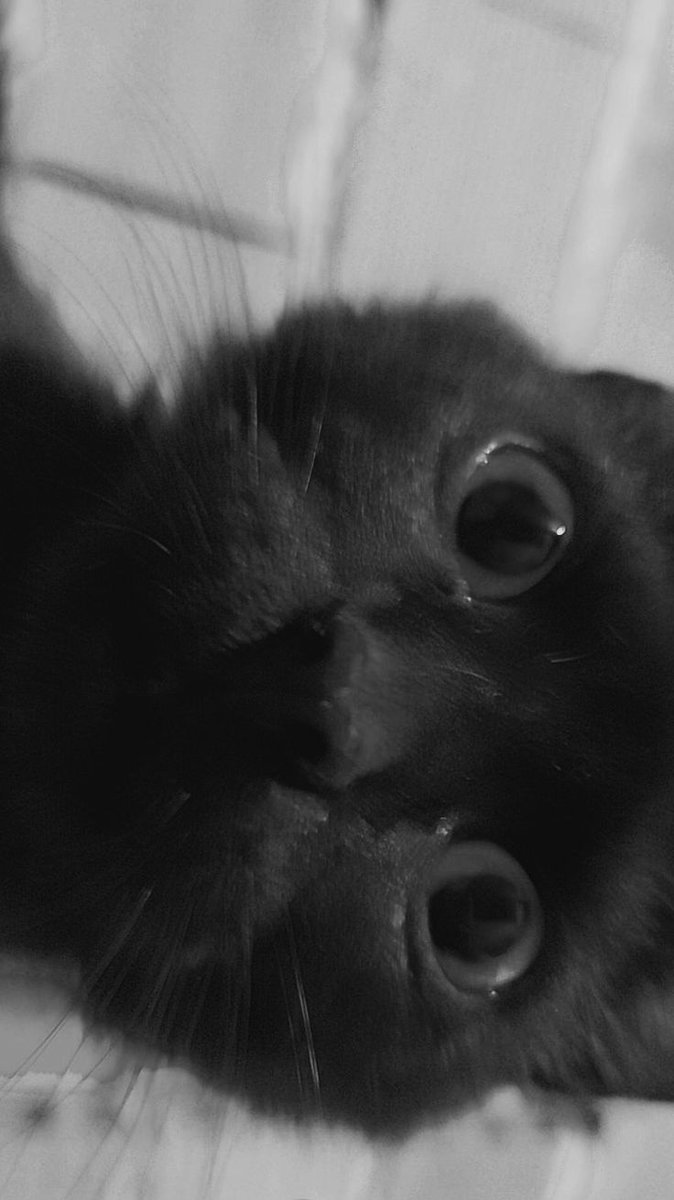 Rob ⛈ ༊·˚𓆉 tweet media