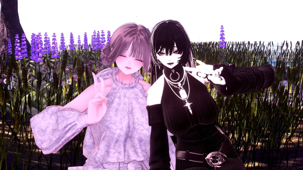 しろ。 tweet media