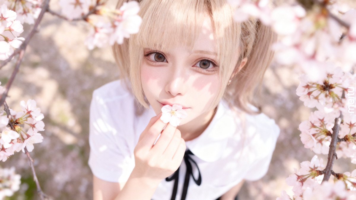 なのみゅー【シュレ犬】🦴 tweet media