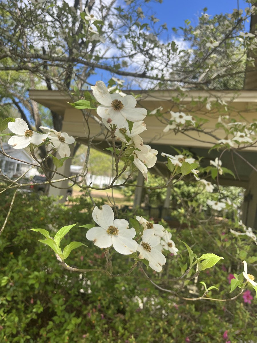 Patrick Willis tweet media