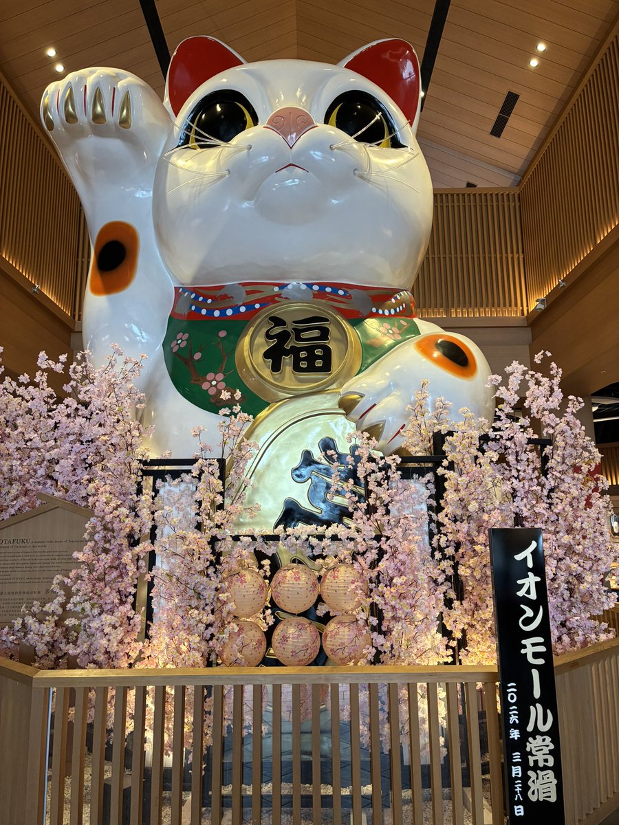 たけ♪ tweet media