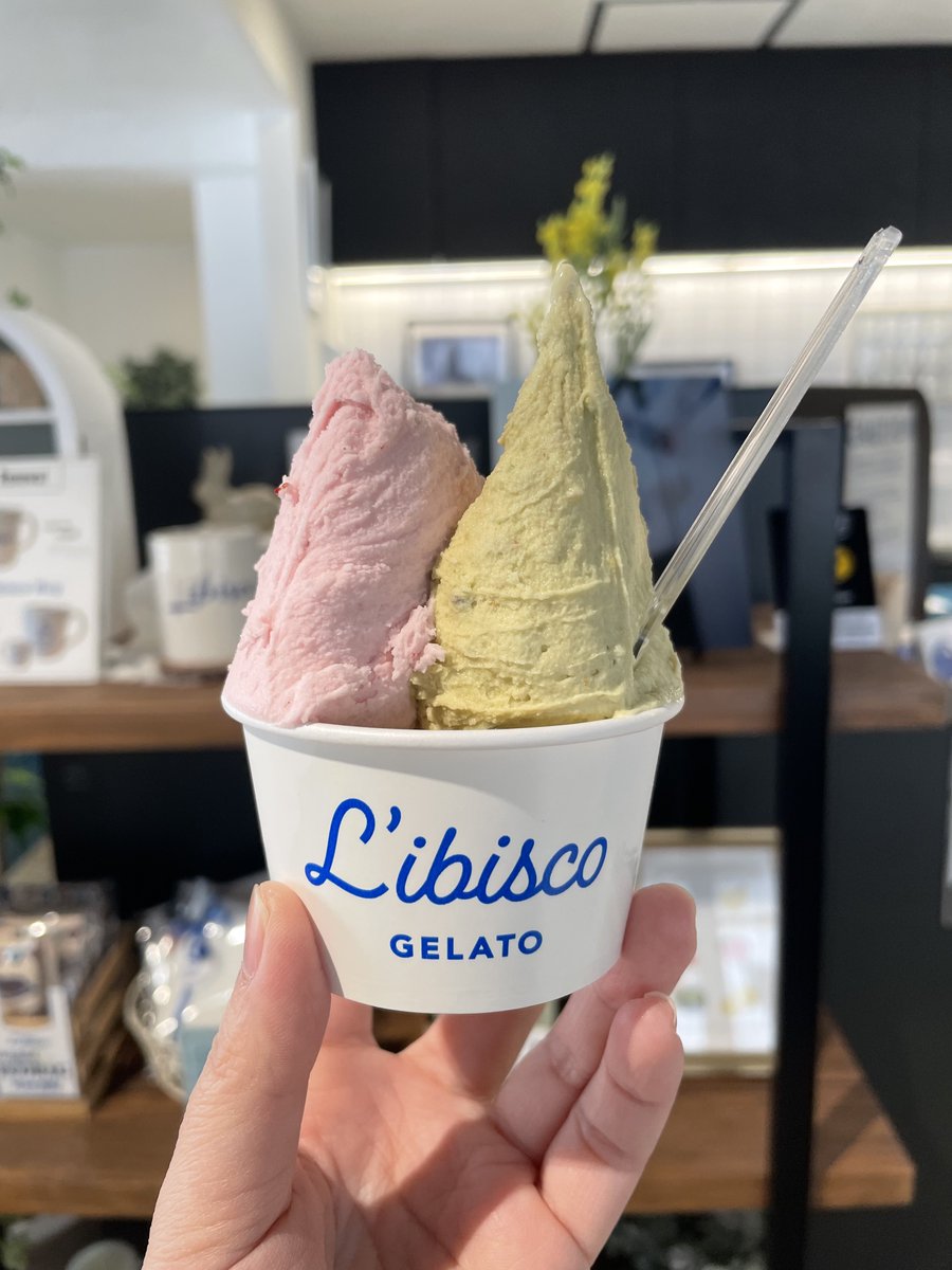 。 Mame 。A Birb from Babylonia tweet media