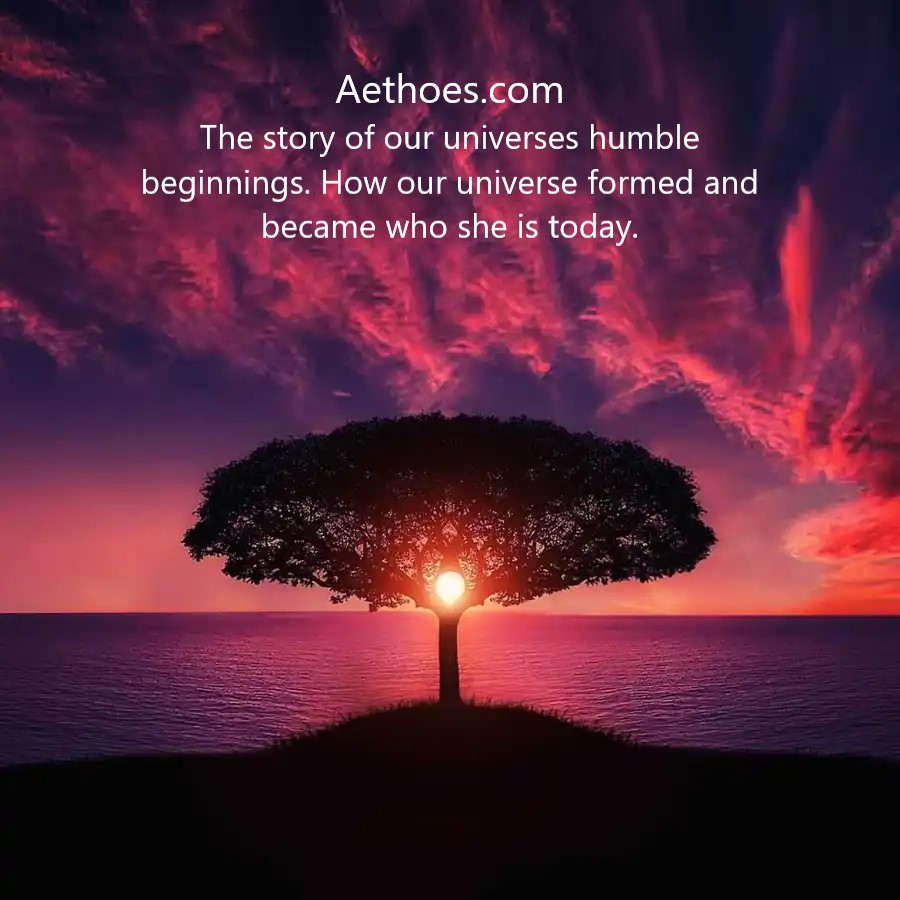 Aethoes tweet media