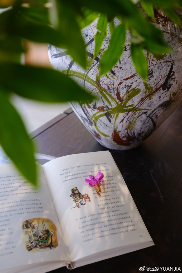 Leandro Silva tweet media