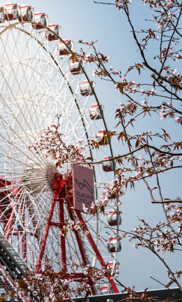 Julia Paradowska tweet media