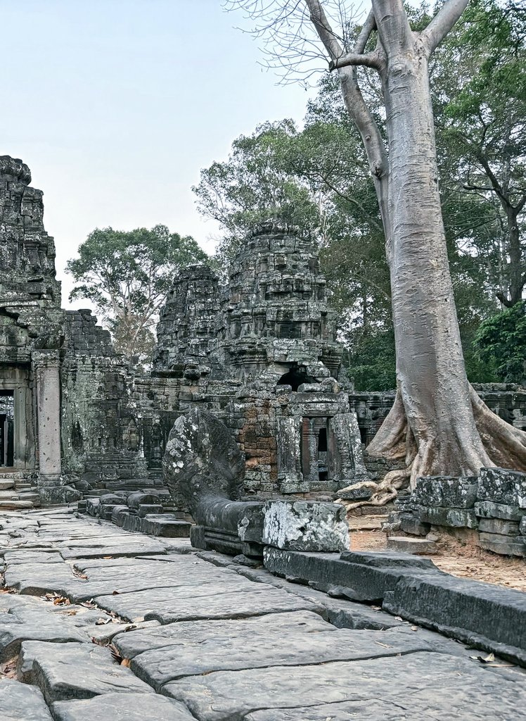 王保保 tweet media