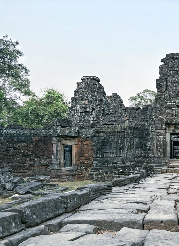 王保保 tweet media