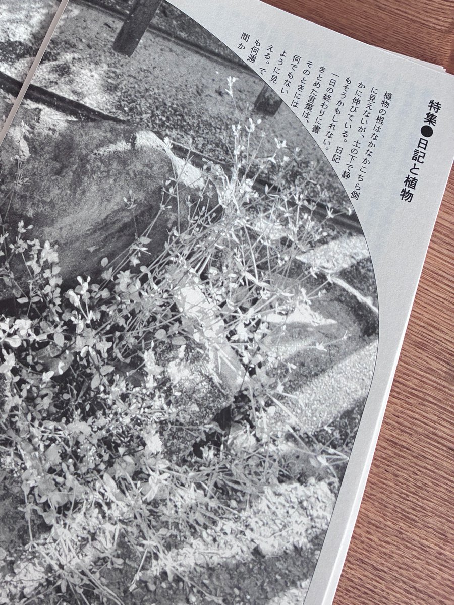 日記屋 月日 tweet media