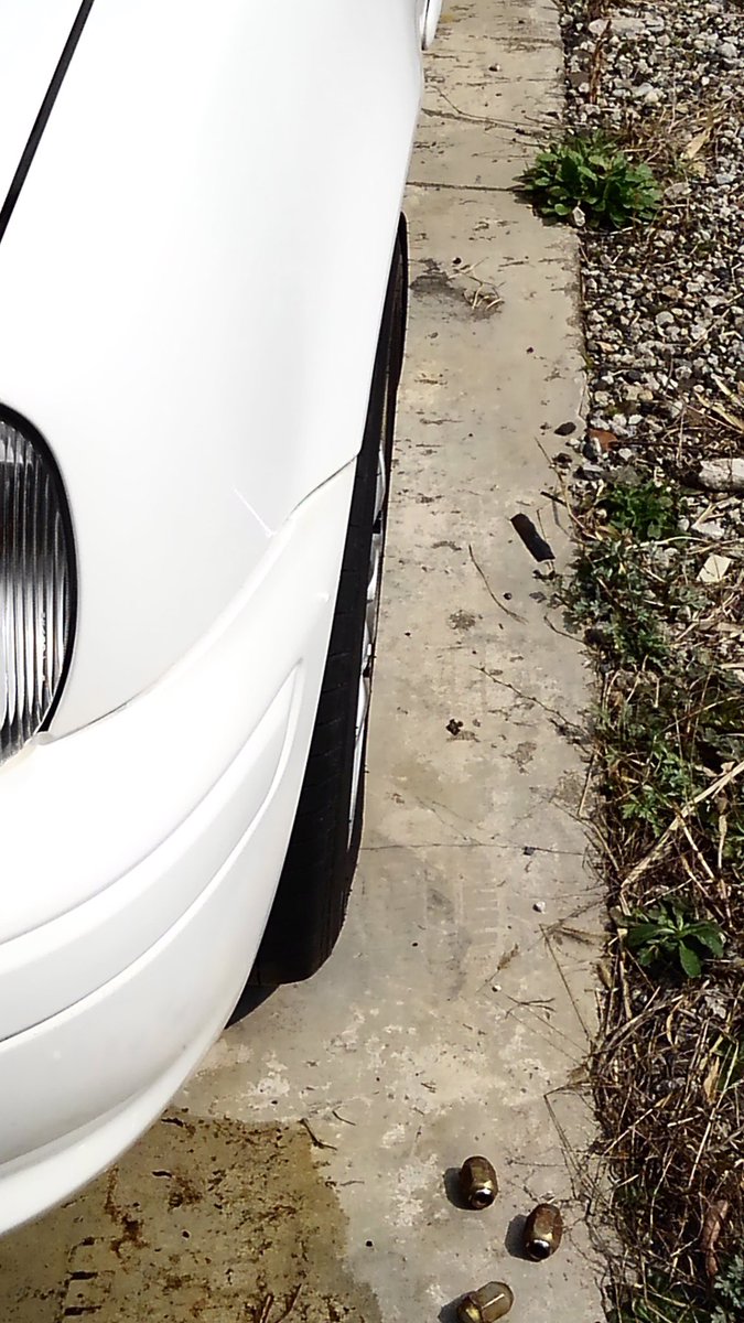 あつお2 tweet media