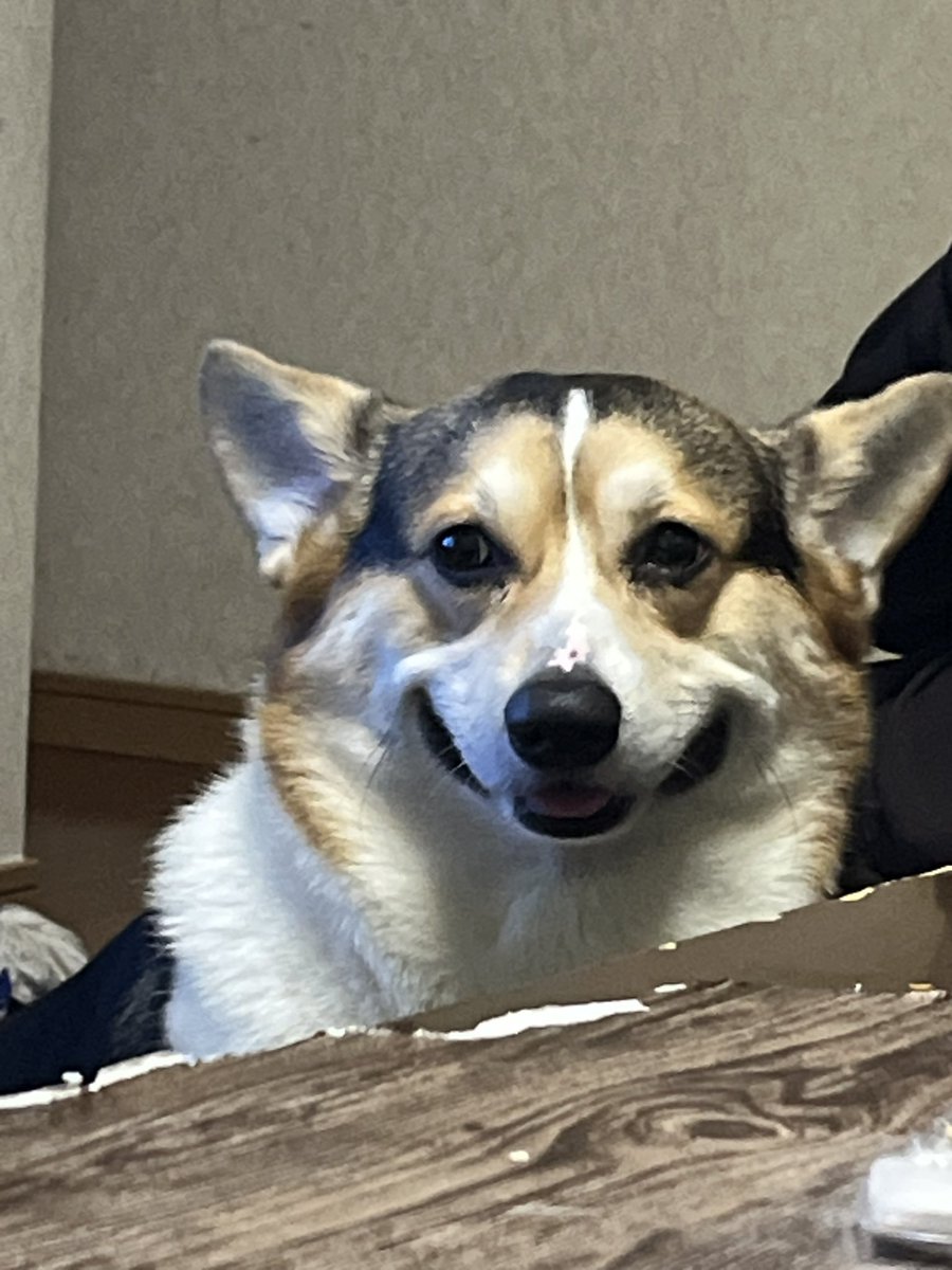 姫花とエスまる tweet media