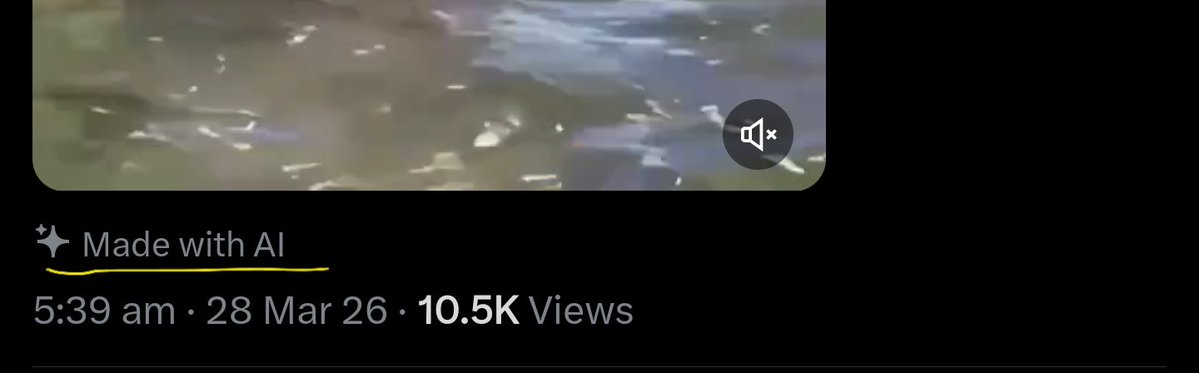 Magna | عبدالرحمن tweet media