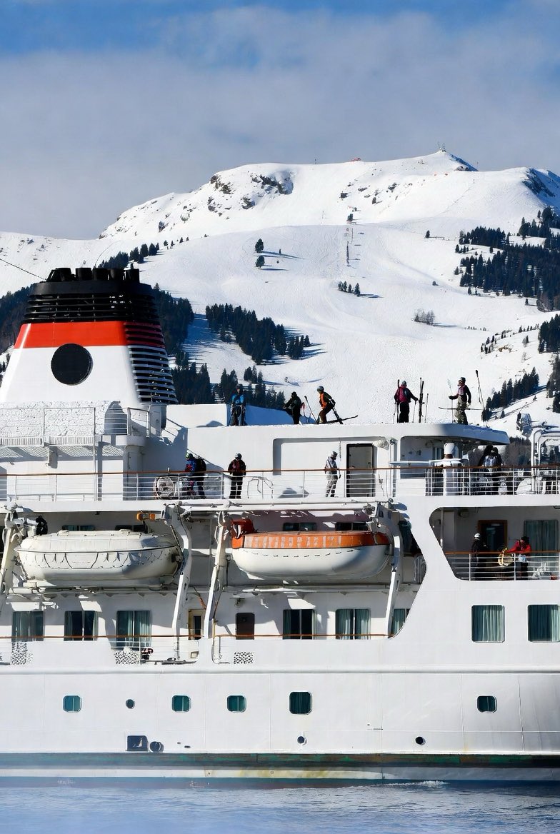 ILLINI (“IL eye nye”) tweet media