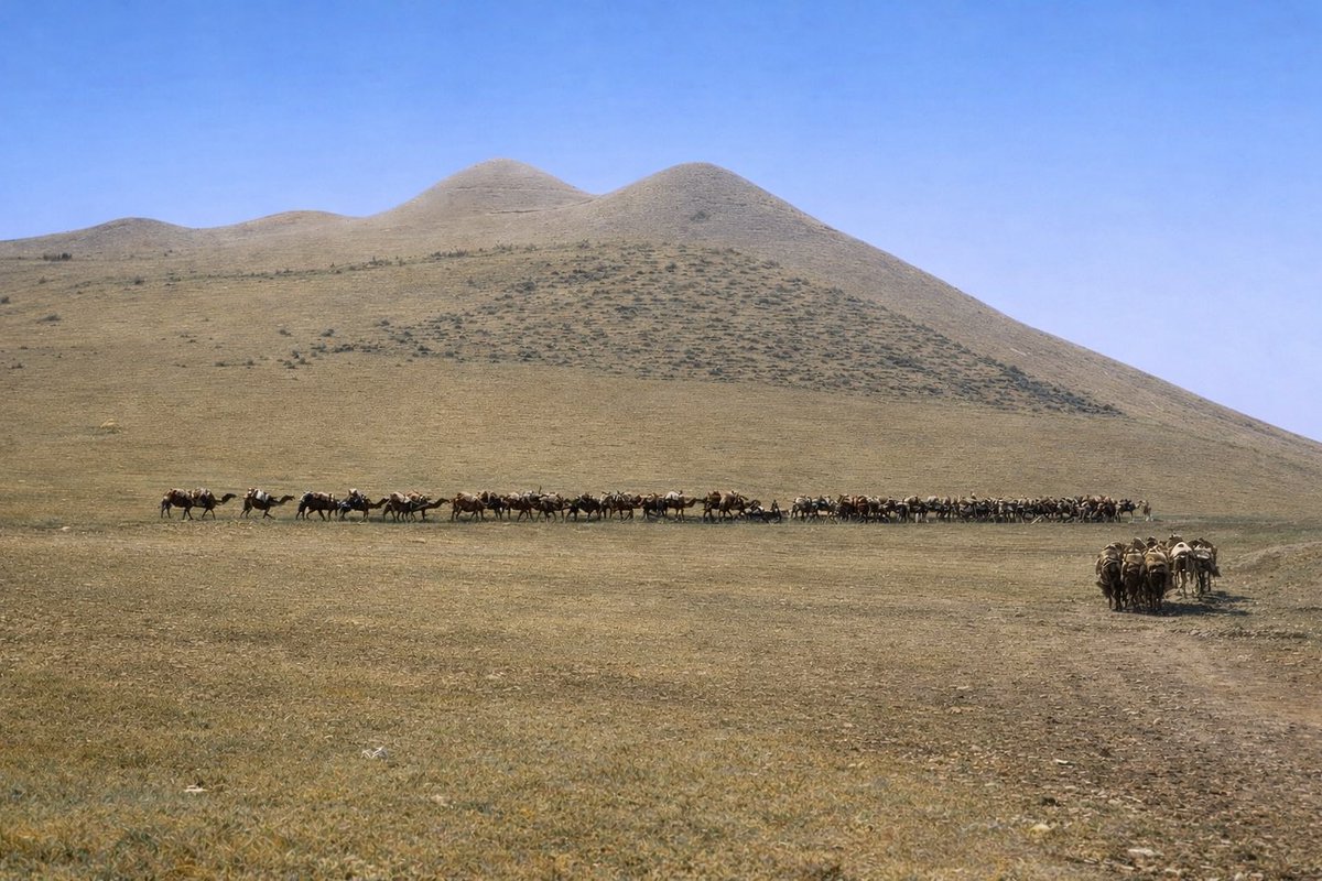 Hüseyin Kurt tweet media