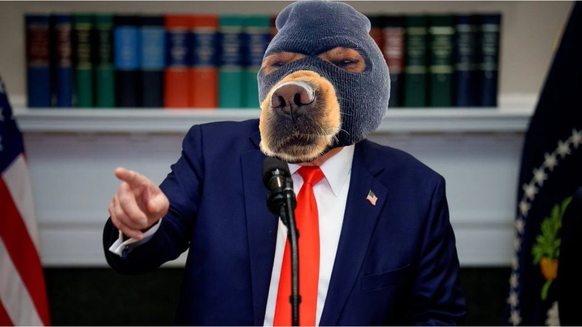 Crypto ken tweet media