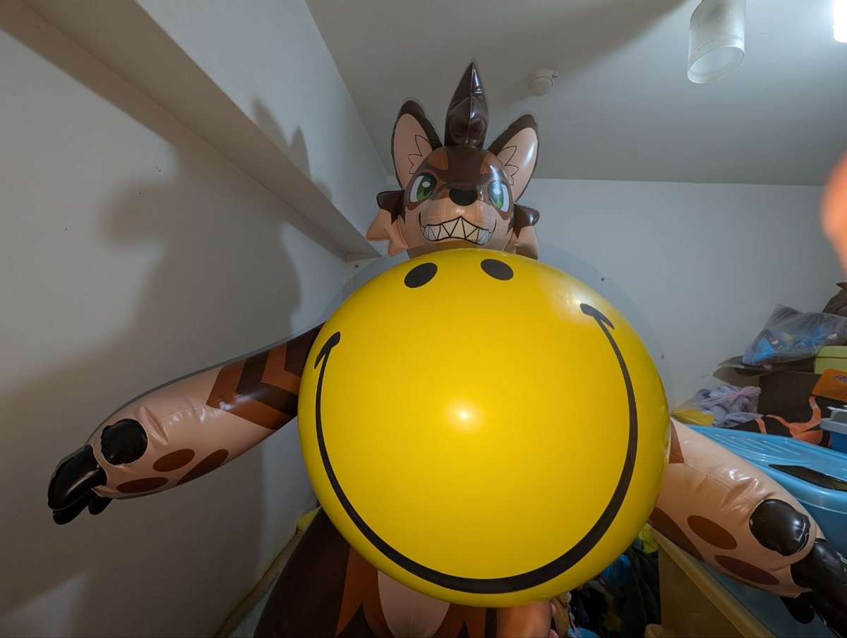 Lurozeroc(盧洛) tweet media