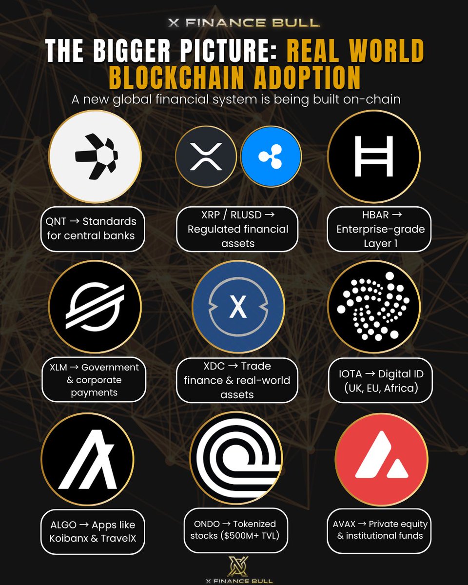 X Finance Bull tweet media