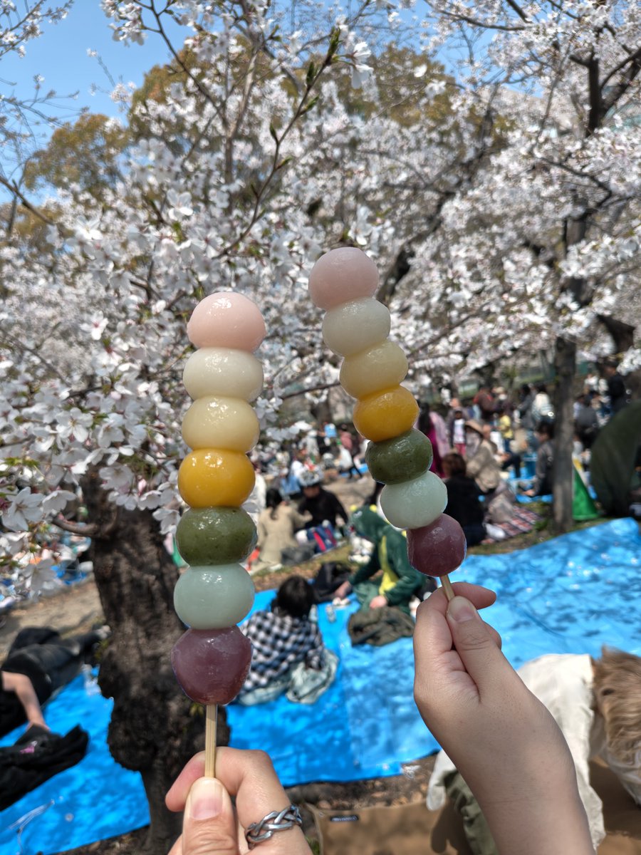 かな☕ ( ¯ ꒳​¯ )ᐝ🐈‍⬛ tweet media