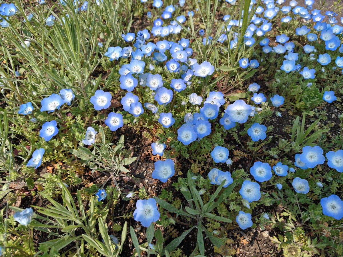 かな☕ ( ¯ ꒳​¯ )ᐝ🐈‍⬛ tweet media