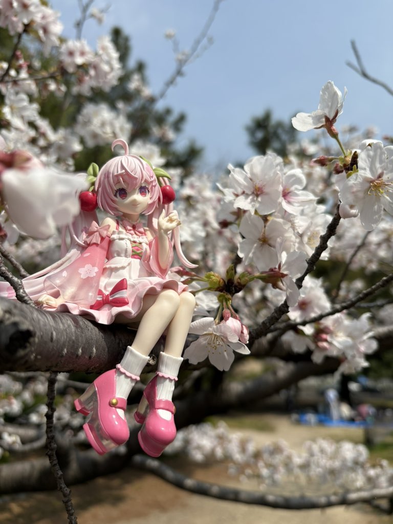 鶴舞公園でお花見🌸