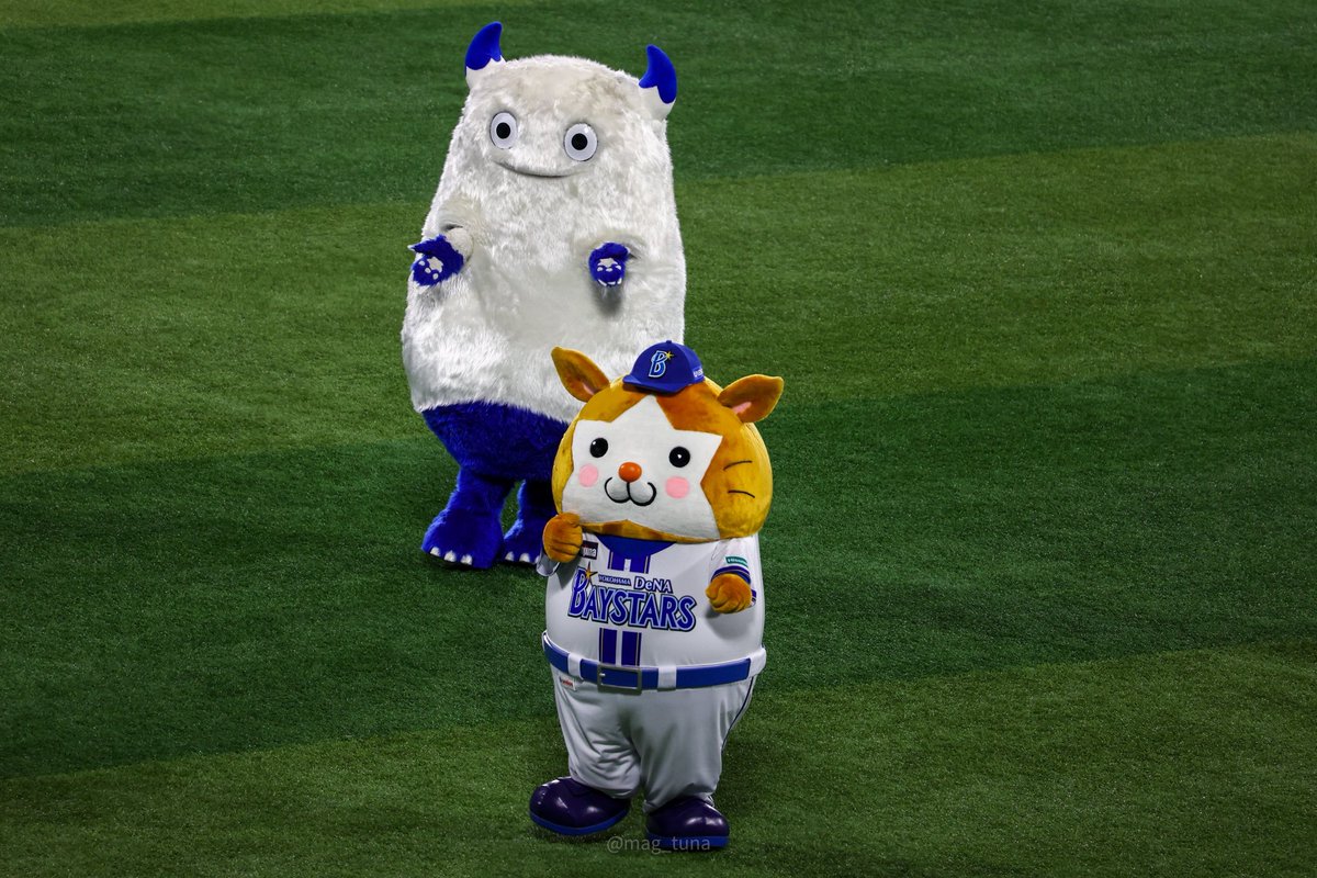 mag_tuna's tweet photo. 開幕戦スターマンきゅるきゅるで可愛いかった！
バートは毛並みが良かった！
2026.3.27
#baystars 
#スターマン
#バート https://t.co/kD4zPKwXRJ