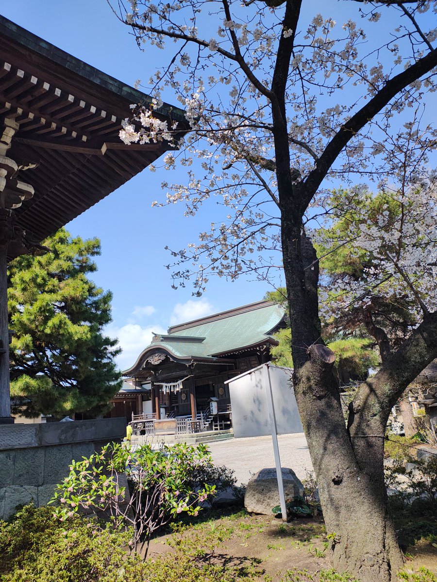 惣島厚 sojlma atsushi 出張カメラと販促デザイン tweet media