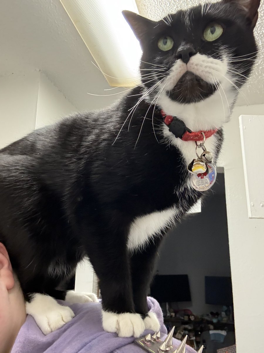 Hunter Perkins tweet media