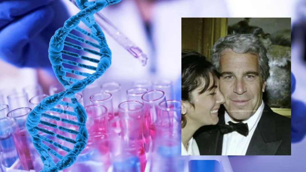 PaulGoldEagle's tweet photo. EXPOSED: EPSTEIN AND THE GLOBAL ELITE BIOLOGICAL CONTROL AGENDA

What operated around Jeffrey Epstein was not random crime or eccentric philanthropy. It functioned as a coordinated biological control project disguised as science funding, elite networking, and humanitarian investment. Behind the public façade sat a long-term plan to influence human DNA, reproduction, and population control.

As investigations deepened in 2026 under President Trump’s restored administration, a structured system became visible. Epstein was not a lone actor. He served as a broker for global elites who believed human evolution itself should be managed, filtered, and redesigned.

The first objective was genetic control. Epstein funded and connected research focused on heritable gene editing, targeting traits tied to intelligence, temperament, fertility, aging, and compliance. Scientists, grants, and private briefings all pointed to the same goal: shape future generations by design, not chance. Newly surfaced intelligence confirmed coordination between elite European eugenics circles, U.S. biotech networks tied to tech billionaires, and sovereign wealth clusters building private genomic vaults.

The second layer focused on reproduction. Epstein’s interest in fertility clinics, embryo selection, ovarian suppression, and sperm banking was strategic. His network explored methods to suppress reproduction in some populations while selectively amplifying traits in others. His private locations were used as consultation hubs for elite families seeking engineered bloodlines. Investigators identified multiple clinics in the U.S. and Europe linked to these programs, now under active review.

Parallel to this ran elite-only bio-enhancement labs. These facilities offered anti-aging protocols, immune engineering, cognitive enhancement, and proprietary stem-cell treatments reserved for a closed class. Internal communications described a tiered biological society: extended life and performance for elites, restricted systems for everyone else.

The darkest layer involved biological harvesting. Evidence shows minors were used for stem-cell extraction, hormonal profiling, epigenetic mapping, and stress-response research. Their biological material was routed through coded logistics channels into private longevity facilities serving billionaires, intelligence-linked financiers, and political figures. Federal investigators are now tracing these routes backward to dismantle remaining nodes.

Epstein’s network also pushed mass DNA collection through biometric technology. Millions of profiles were categorized by genetic “fitness,” predictability, and reproductive value. The long-term plan shifted human rights from citizenship to genome classification, determining access to healthcare, travel, finance, and employment.

Advanced labs tied to Epstein’s financiers worked on engineered embryos, artificial wombs, and trait programming. Notes recovered reference intelligence scaling, emotional dampening, obedience suppression, and lifespan amplification. The goal was an engineered successor class raised without the unpredictability of natural reproduction.

DNA-based digital identity systems were being prepared to link genetics to borders, banking, healthcare, and law enforcement. Intelligence confirms this model was close to limited rollout before being halted.

Finally, Epstein helped establish genetic vaults storing elite embryos, DNA libraries, and engineered tissue as continuity backups in case of global collapse. One such vault triggered a major biological security operation after exposure.

Epstein was the central broker in a plan to redesign humanity and lock biological power into a permanent ruling class.

That system is now under exposure.