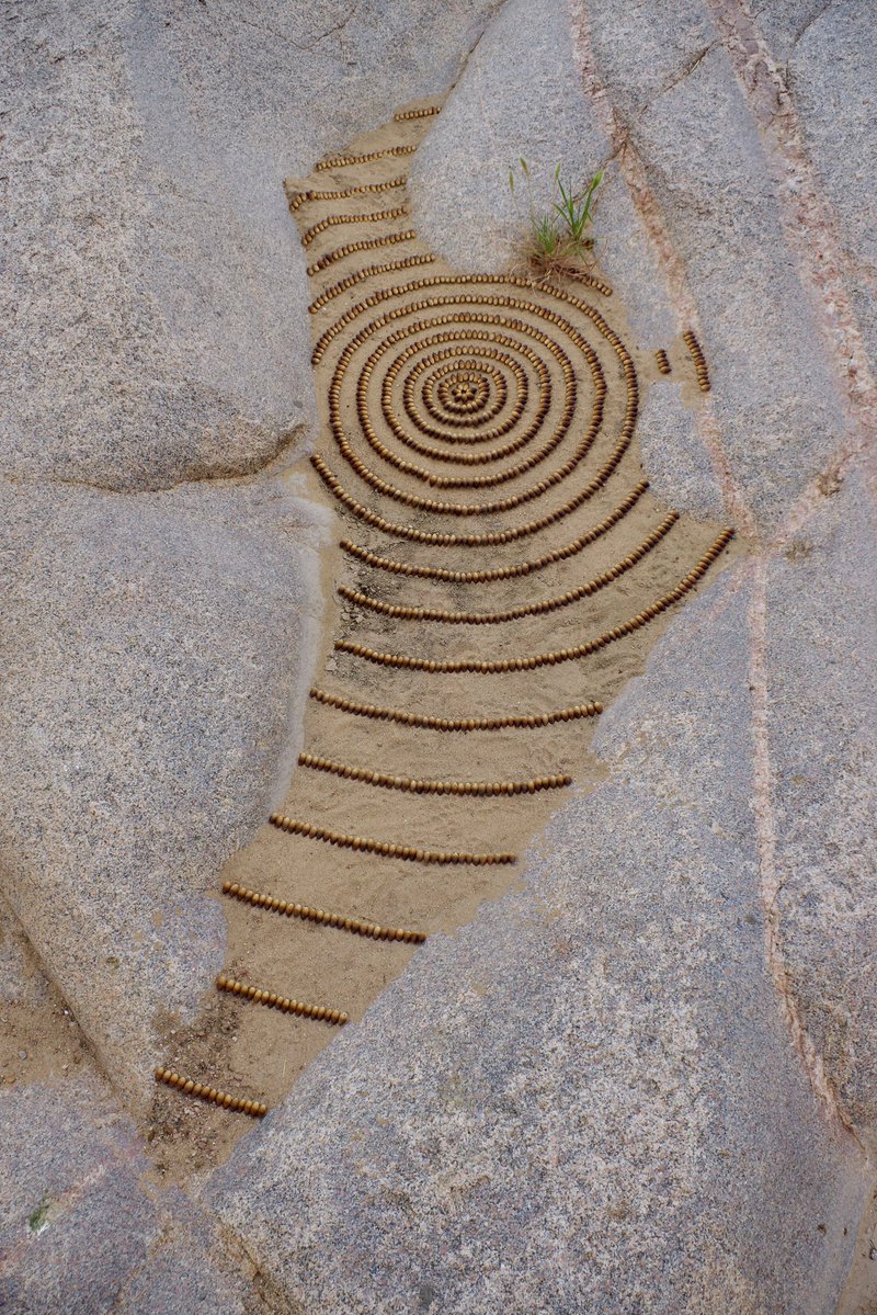 Tim Pugh tweet media