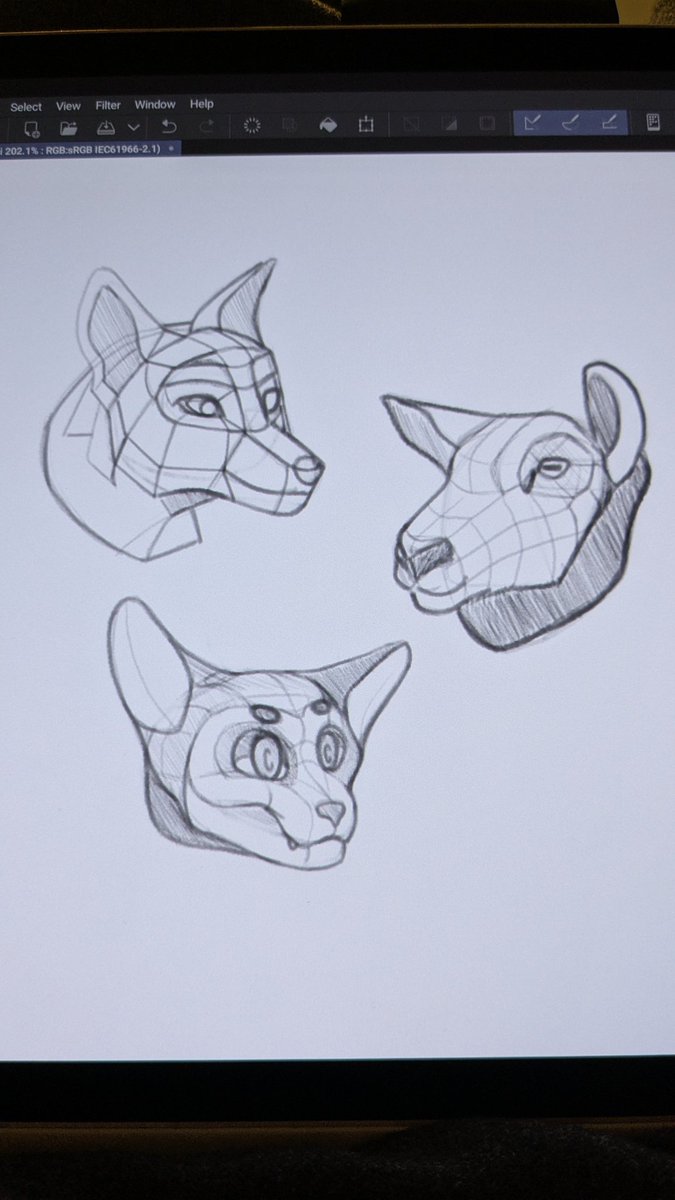 TumblrVictim's tweet photo. Practicing animal heads https://t.co/sZuGJlqNBy