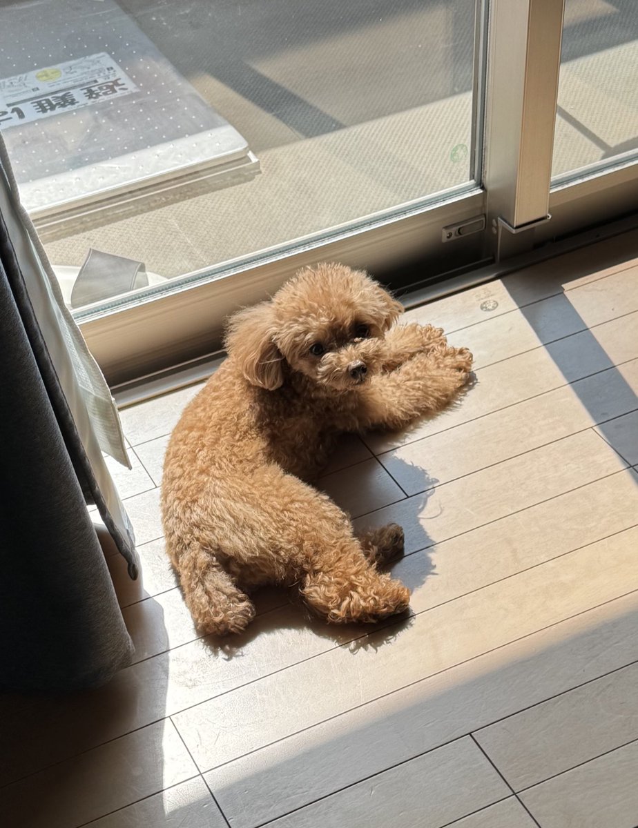 スナックしおじゅん tweet media