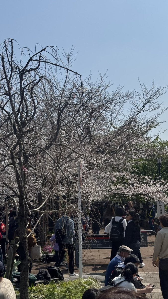 だんな tweet media