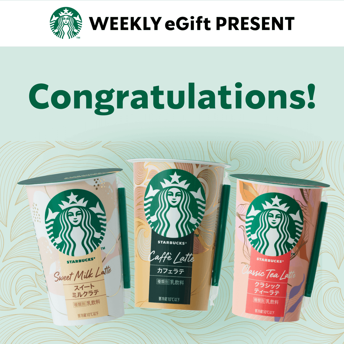 T.E.F. ゆきのすけ tweet media