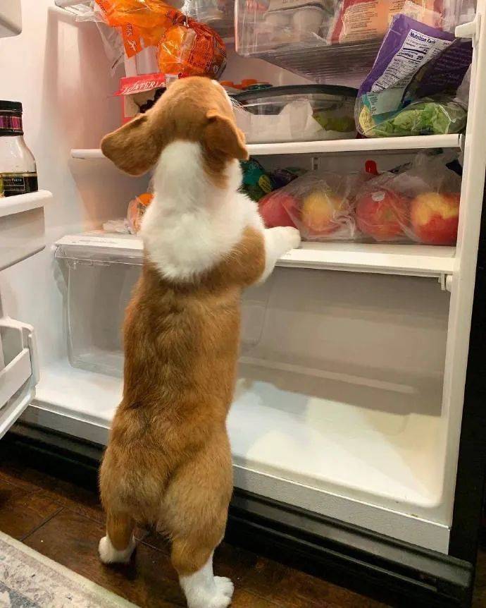 Connie Glode tweet media