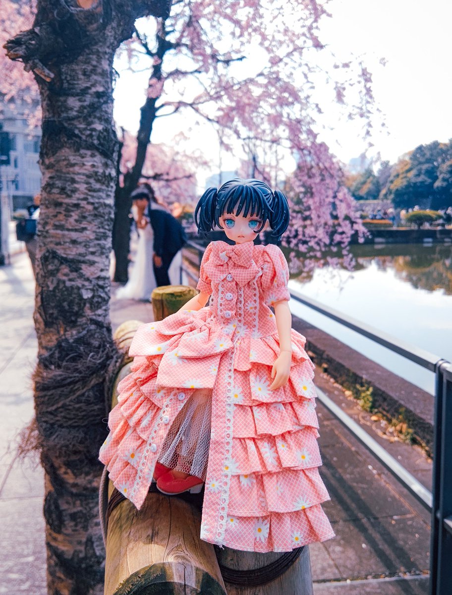 わんわんQ tweet media