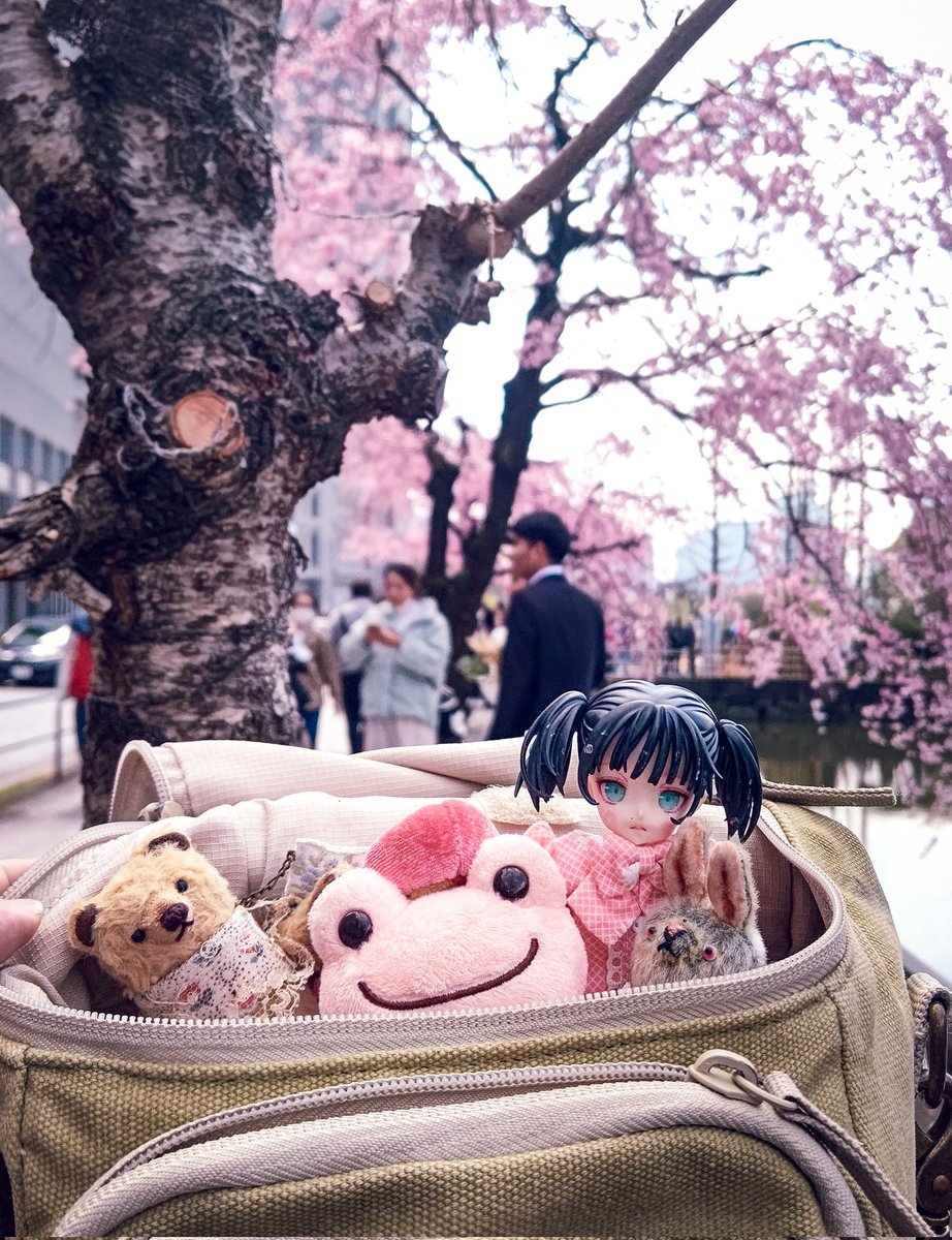 わんわんQ tweet media