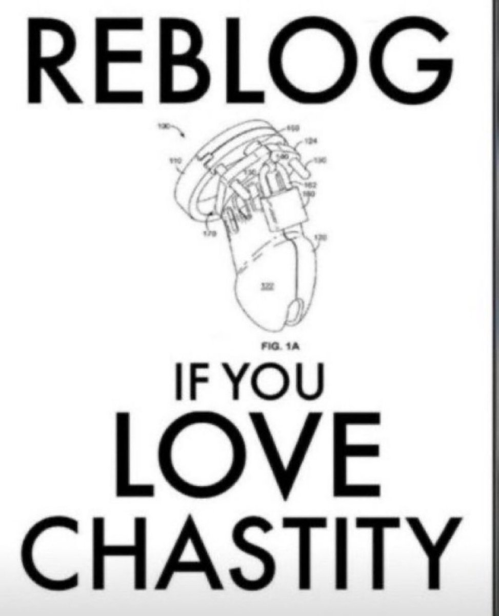 ALPHA BULL tweet media