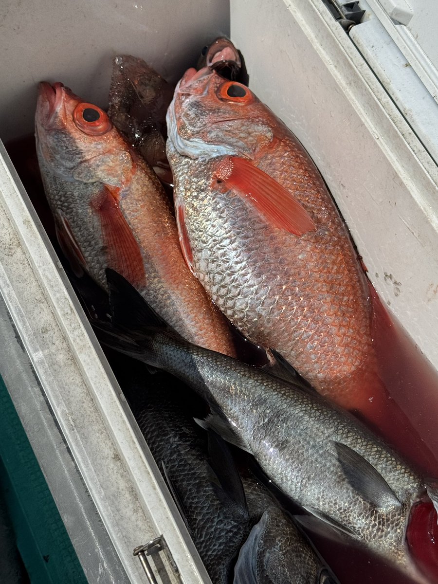 山中 陽介 tweet media